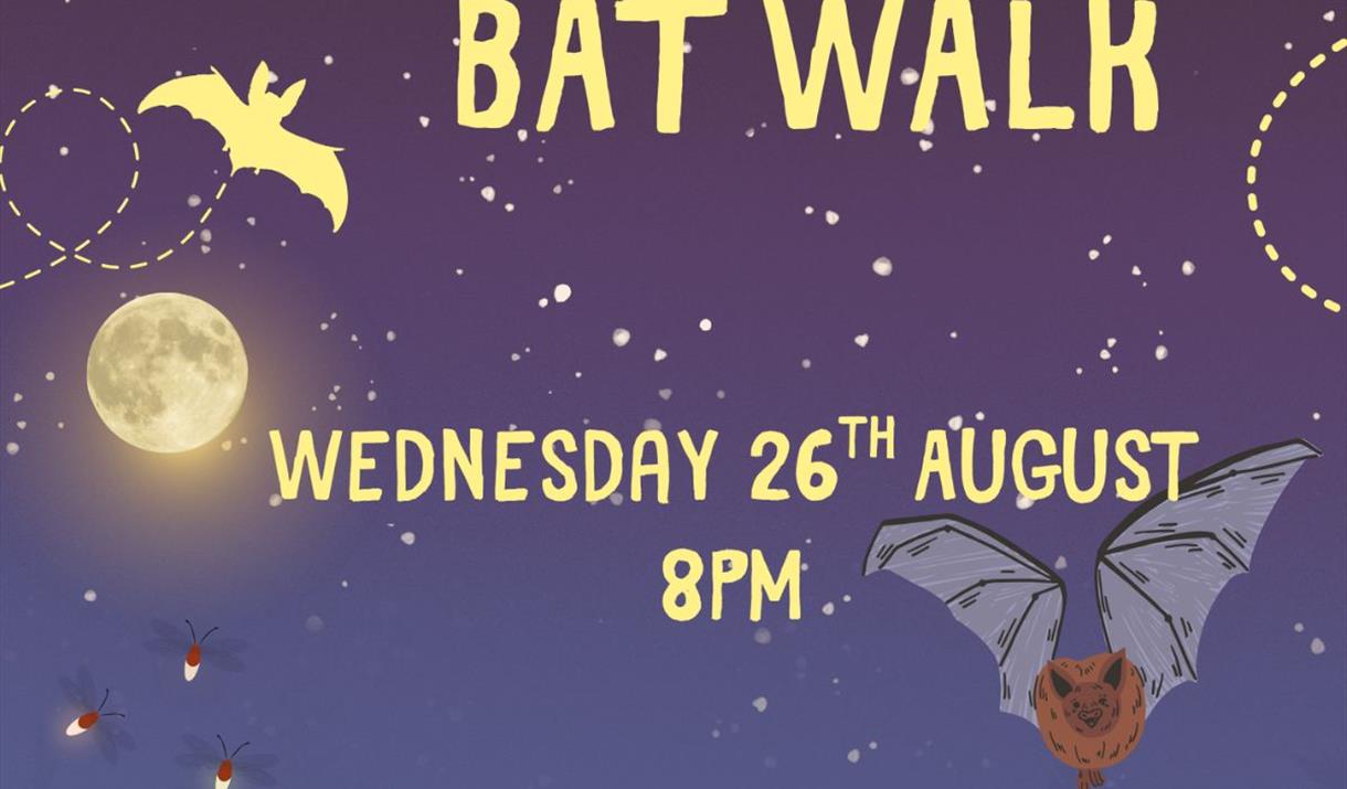 Bat Walk at Woodlands Farm