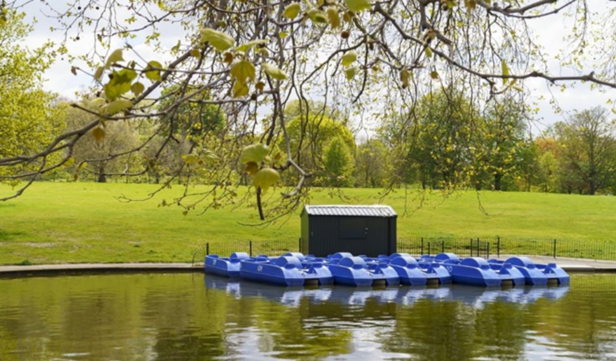 Enjoy a relaxing pedalo ride on the Boating Pond at Greenwich Park