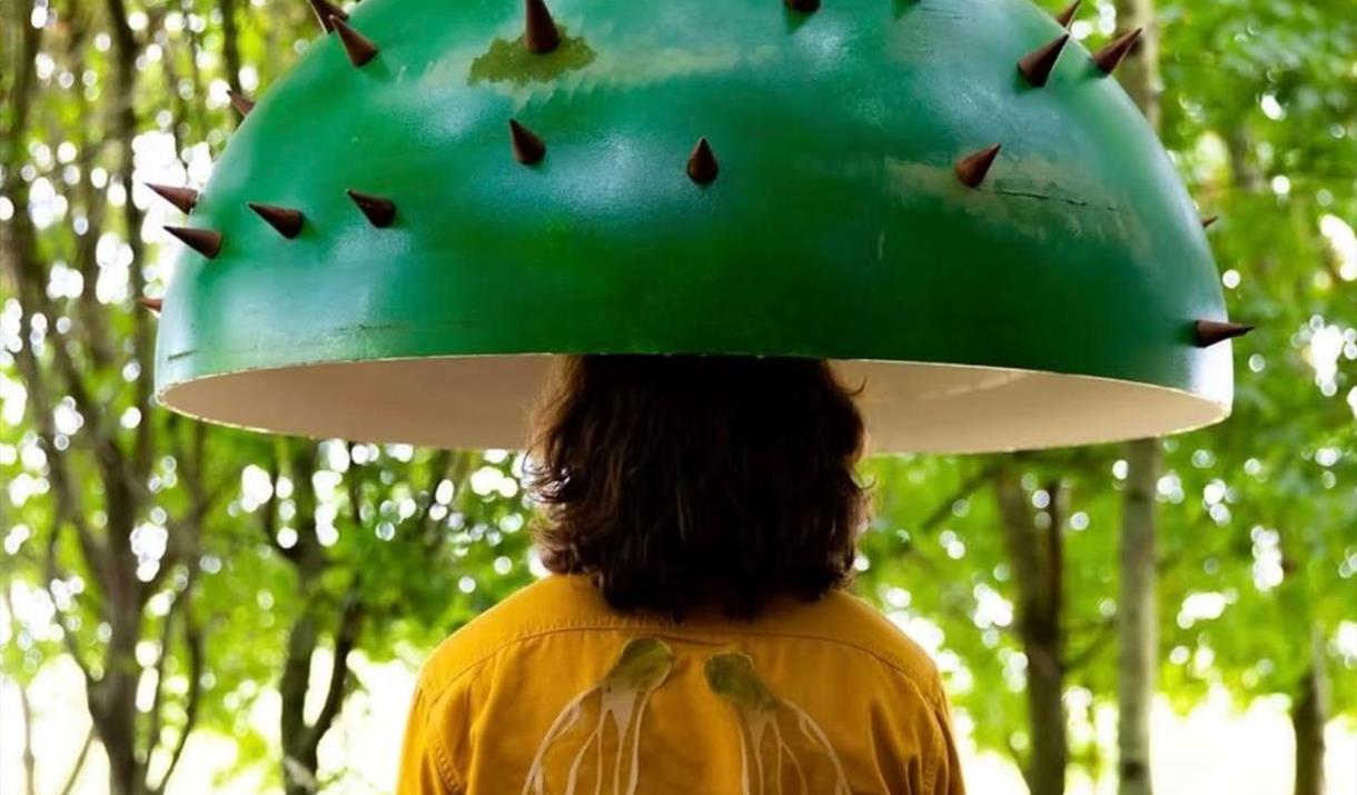 Joyful, hopeful, and thought-provoking, Canopy celebrates the profound connection between humans and trees