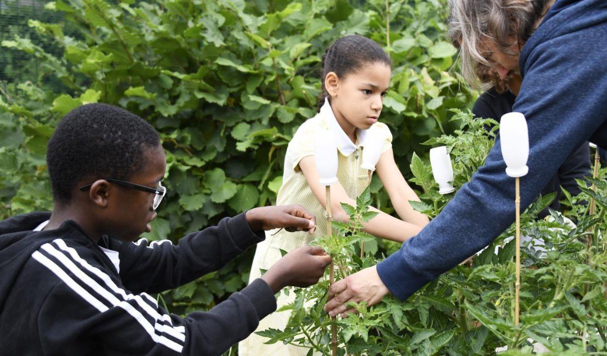 Come and help out at Royal Museum Greenwich's green space in Kidbrooke