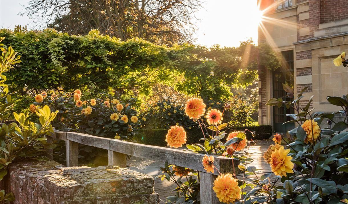 Orange Flowers in front of Eltham Palace
