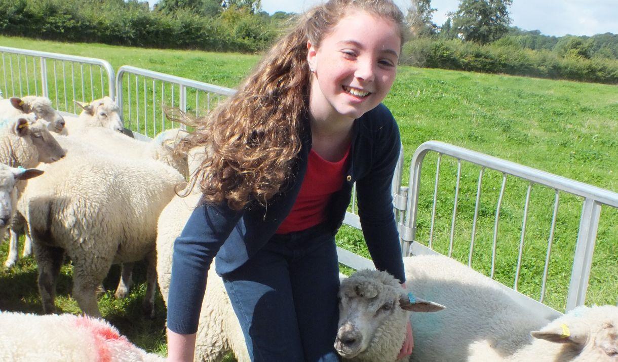 Come and find out all about Woodlands Farm with one of Woodland Farm's Guided Tours