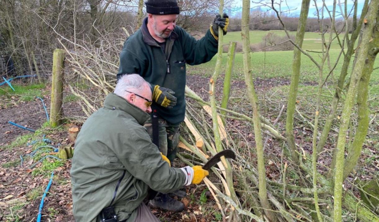 A full day of hands-on hedge-laying while learning all about the skill and why it is done here at Woodlands Farm