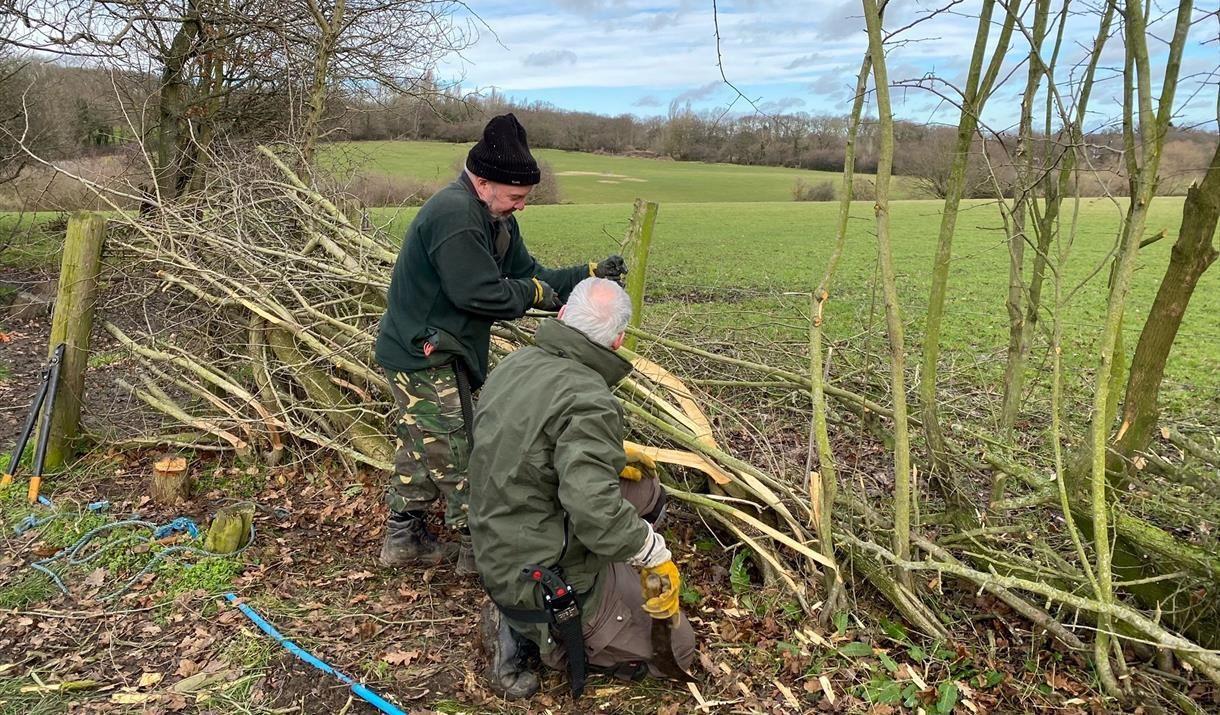 Take part in a full day of hands-on hedge-laying while learning all about the skill and why it is done here at Woodlands Farm