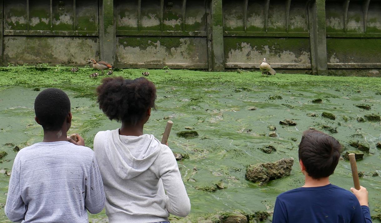 Find out all about the skills needed to survive being washed ashore in Deptford Creek.