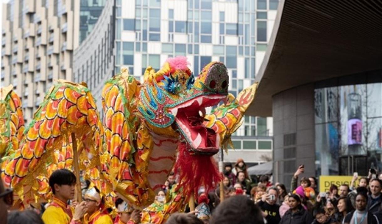 Live Dragon Dance performance