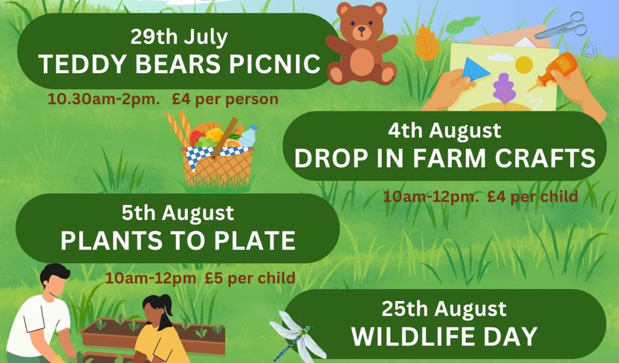 Come along and bring your picnic and teddy to enjoy a picnic out in the Woodlands Farm fields