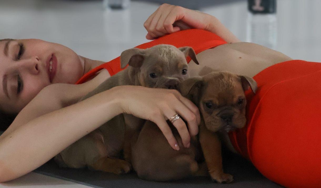Stretch, strengthen, and cuddle with playful puppies as you flow through a simple workout