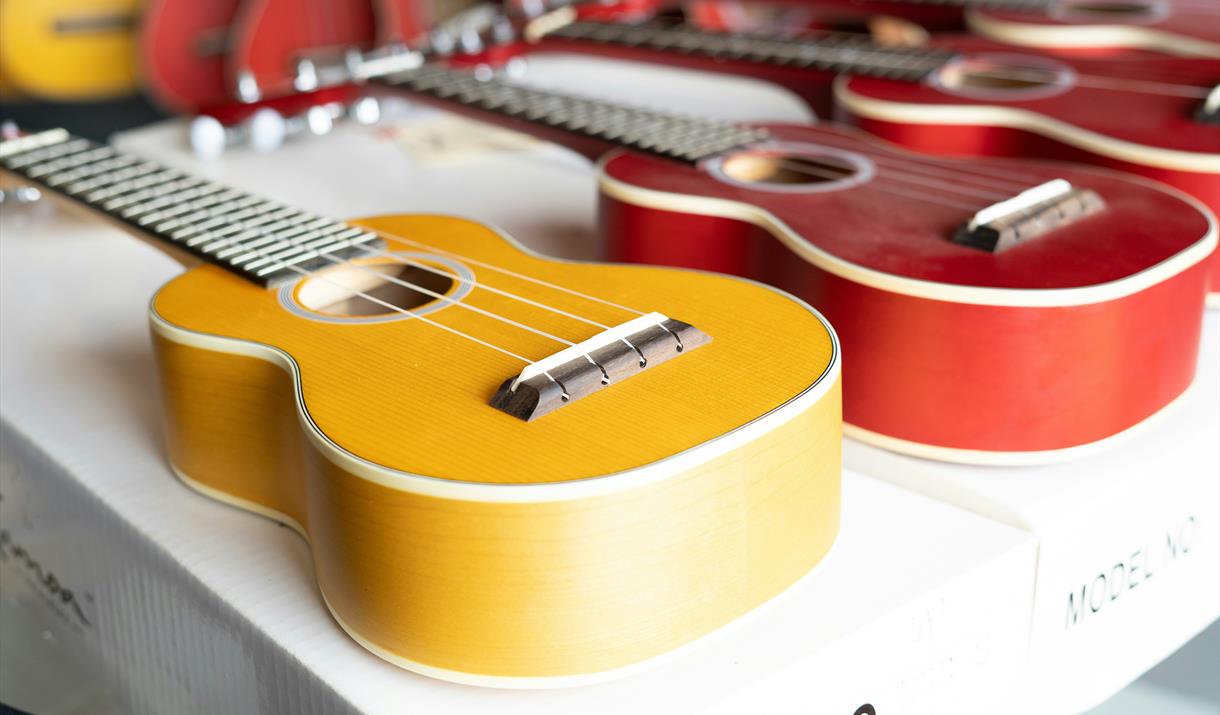 Ukulele is a fantastic first instrument and a wonderful stepping stone to other string instruments