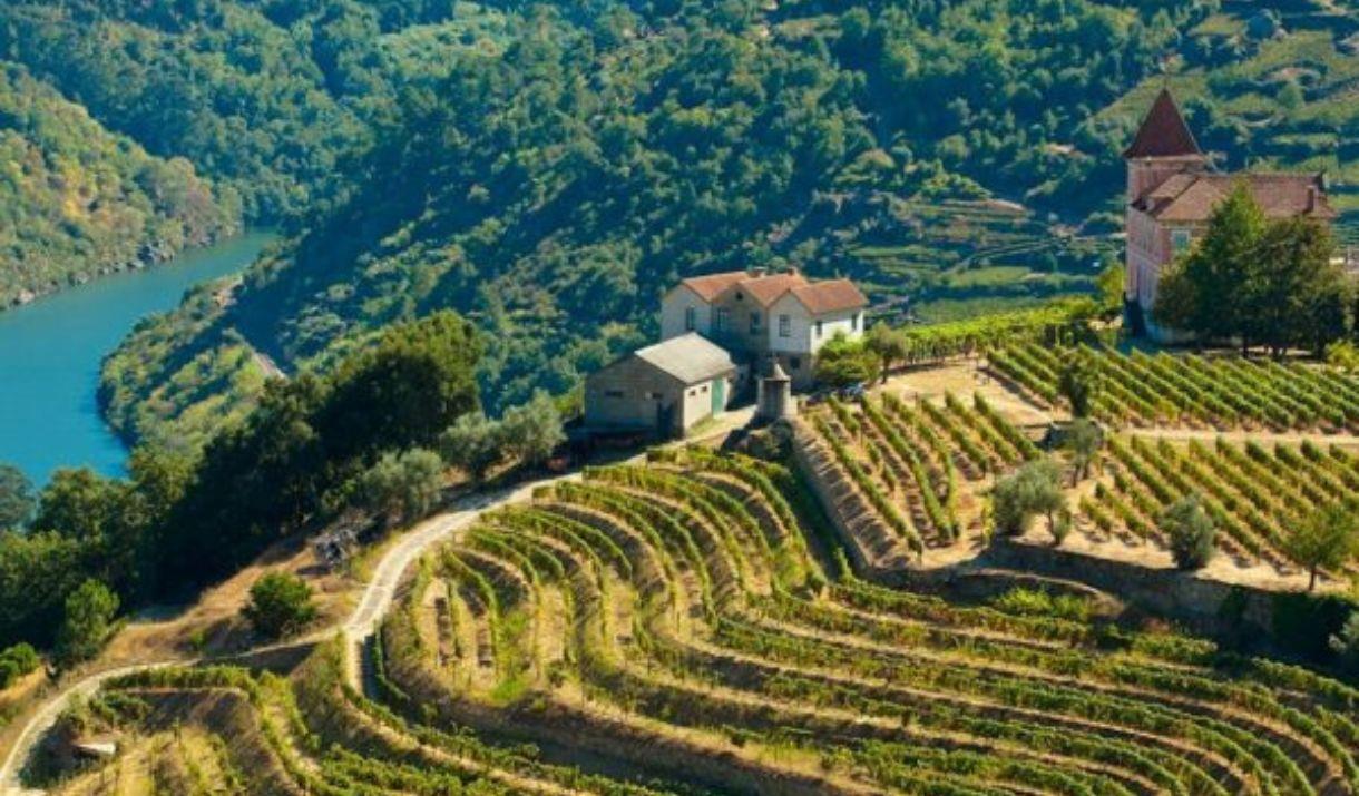 A fantastic opportunity to explore and taste a wonderful selection of wine