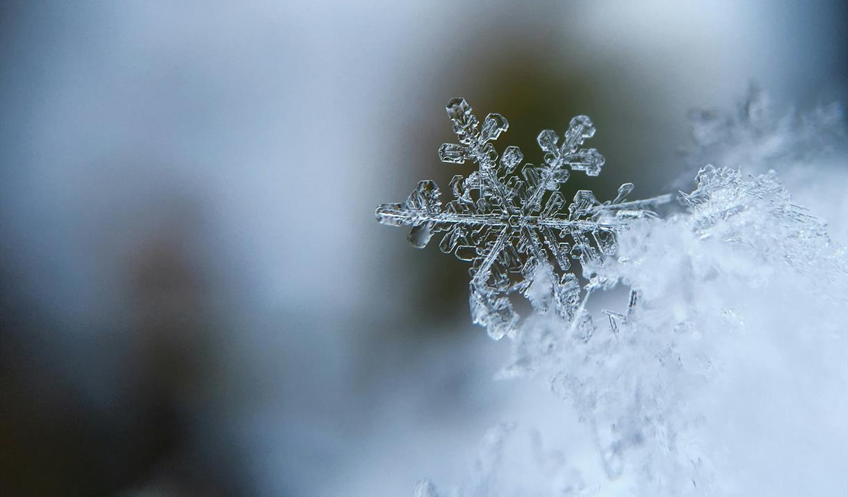 In this session, Young Artists will create snowflakes from abstract paper sculptures inspired by ice, frost and crystals, and imaginative winter scene