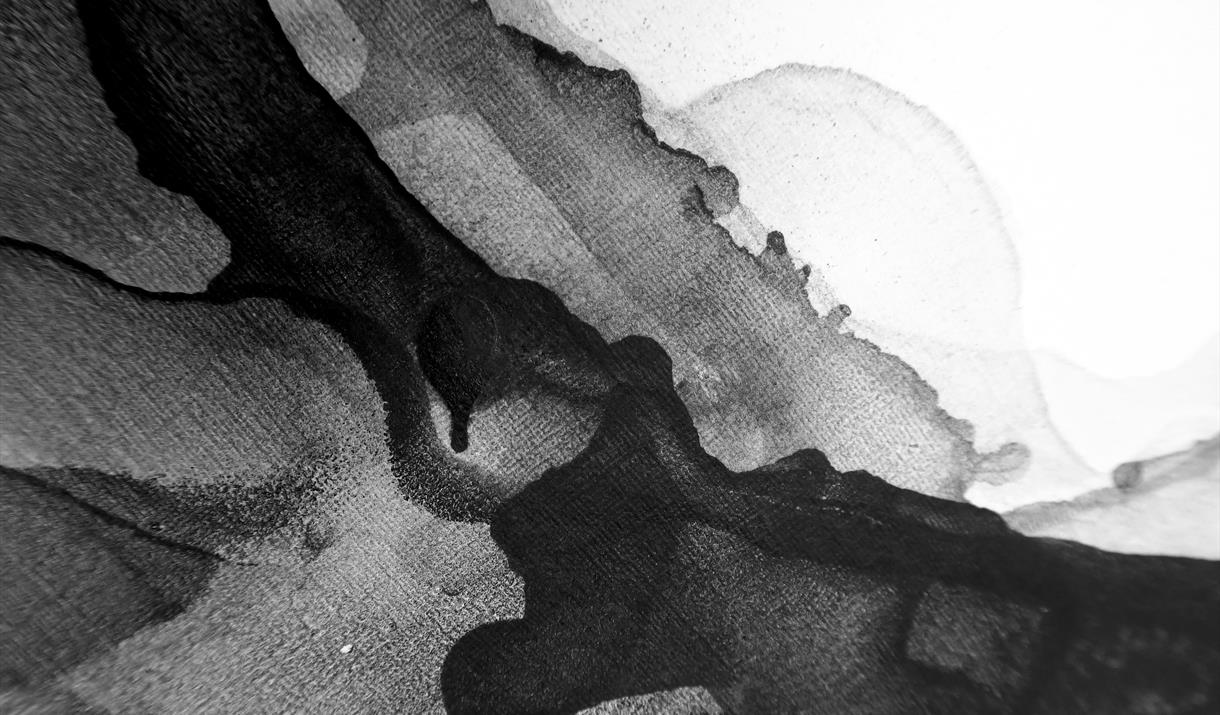 Come and join the regular Conservatoire tutor Kirsten for a bespoke one-off workshop to explore the rich medium of ink