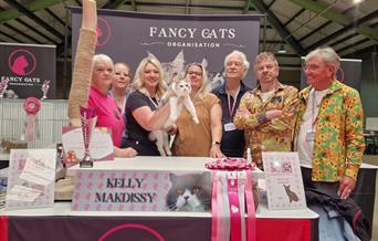 An Overall Best in Show Cat from a Previous Show