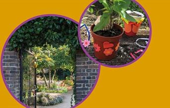 Discover the wonder and beauty of the walled gardens, just as Mary Lennox once did at Misselthwaite Manor