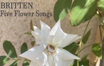 A white rose with text reading Britten Five Flower Songs