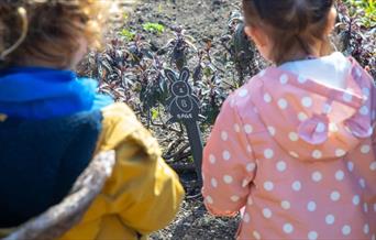 Discover treats, spring plants, and bunnies in the Charlton House garden beds