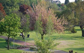 Inside view of East Greenwich Pleasaunce Park with big green trees around.