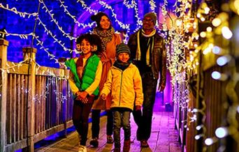 Explore the grounds and gardens to discover a magical world of illumination, sound and colour