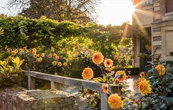 Orange Flowers in front of Eltham Palace