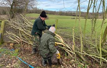 Take part in a full day of hands-on hedge-laying while learning all about the skill and why it is done here at Woodlands Farm