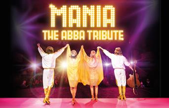 Come and enjoy the ultimate ABBA party Night!