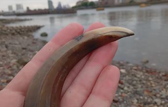 A sound walk along the Thames path featuring intertidal encounters with foreshore found objects