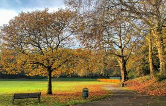 An autumnal day at Maryon Park in Charlton, Greenwich.