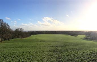 A view over the wide open meadow at Oxleas Woods in Greenwich.