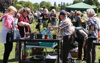 The ever-popular plant sale is back!