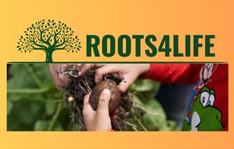 Join Woolwich Works and Roots4Life to sow beans together for the upcoming Beanfeast festival this July at Woolwich Works!