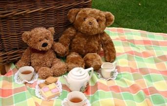 Come alone with your teddies for an afternoon of playing and picnicking