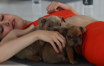 Stretch, strengthen, and cuddle with playful puppies as you flow through a simple workout