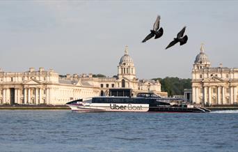 Pigeons and Uber Boat by Thames Clippers in front of Old Royal Naval College, Greenwich