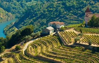 A fantastic opportunity to explore and taste a wonderful selection of wine