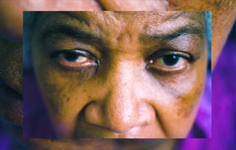 What You See Here / What You Hear Here by Darryl Daley