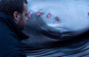 Celebrating World Oceans Day with man watching fishes in the ocean