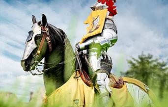 Experience an exhilarating spectacle as four legendary knights compete for glory in the grand medieval joust