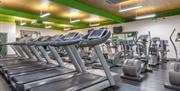 Inside Coldharbour Leisure Centre's Gymnasium.