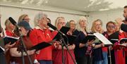 Woolwich Singers Spring Concert live performance at Tramshed, Woolwich