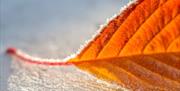 The Canary Wharf photography competition returns