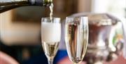 Join the Trafalgar Tavern this St. Patrick's Day for an unforgettable celebration!