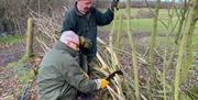 A full day of hands-on hedge-laying while learning all about the skill and why it is done here at Woodlands Farm