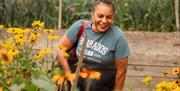 Browse the collection and chat with the expert gardeners to find out more about different plants and sowing techniques