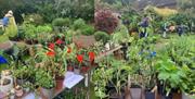 The ever-popular plant fair at Charlton House and Gardens is back!