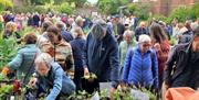 The ever-popular Charlton House and Gardens Plant Sale is back!