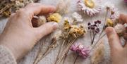 Design your own dried flower terrarium using our home-grown preserved blooms in a calm, beginner-friendly workshop
