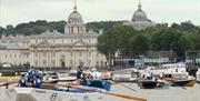 The apprentice race covers 7 miles of river from Greenwich Reach to Westminster Bridge.