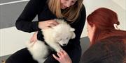 Find your calm with puppy yoga – where downward dog meets the real deal.