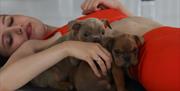 Stretch, strengthen, and cuddle with playful puppies as you flow through a simple workout
