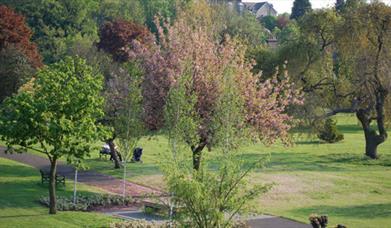 Inside view of East Greenwich Pleasaunce Park with big green trees around.